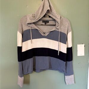 Sienna Sage Gray and Blue Striped Hooded crop top